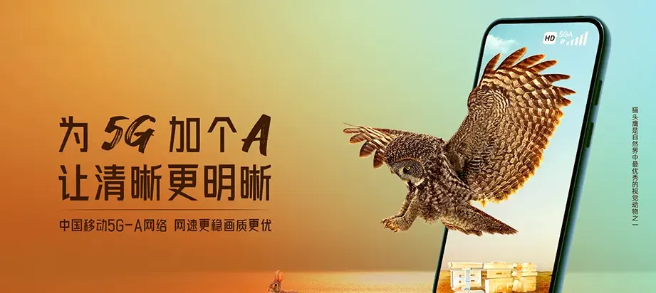 永定区永定区王家坪镇 移动宽带
